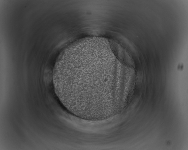 X0000100750043200807171422