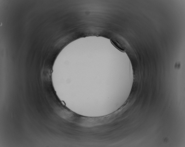 X0000100750045200807171422