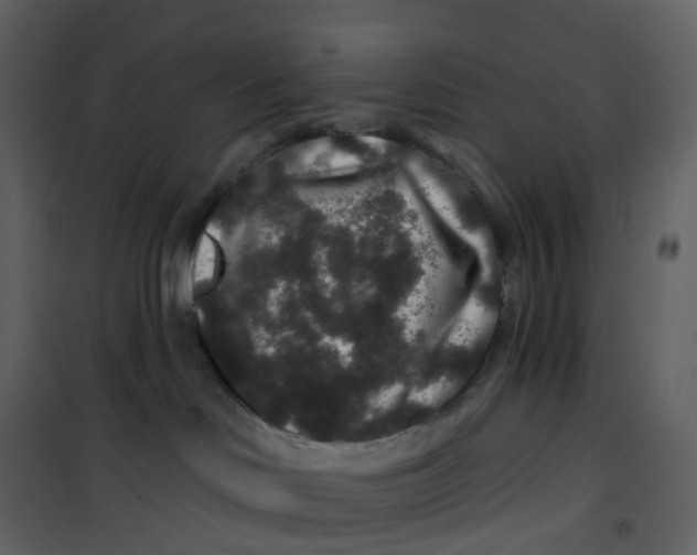 X0000100750046200807171422