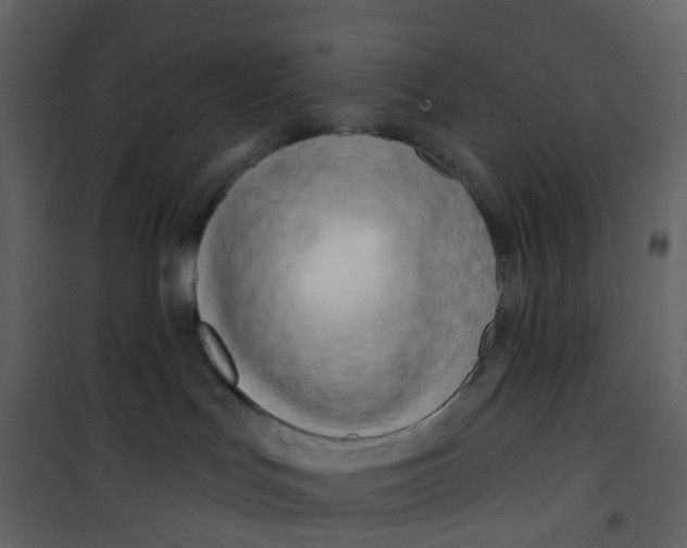 X0000100750047200807171422
