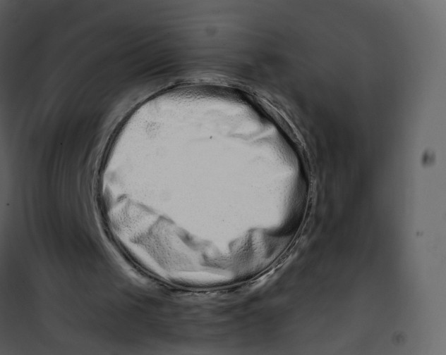X0000100750049200807171421