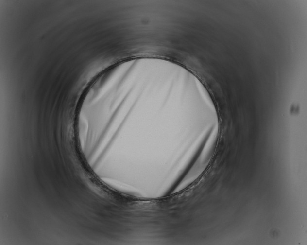 X0000100750050200807171421