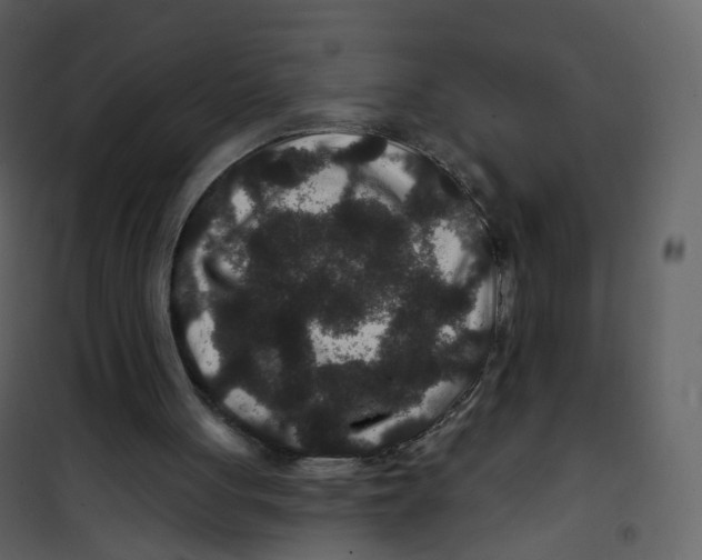 X0000100750051200807171421