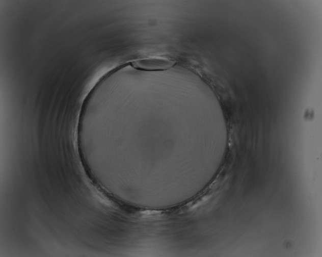 X0000100750052200807171421