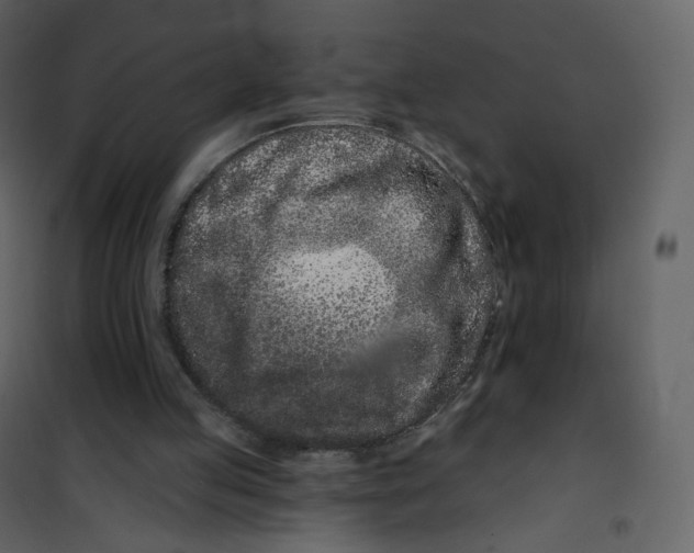 X0000100750053200807171421