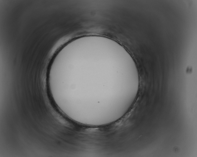 X0000100750054200807171421