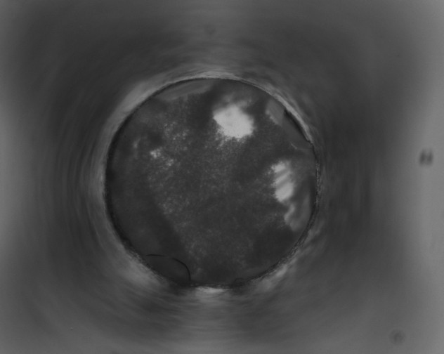 X0000100750055200807171421