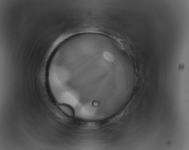 X0000100750056200807171421