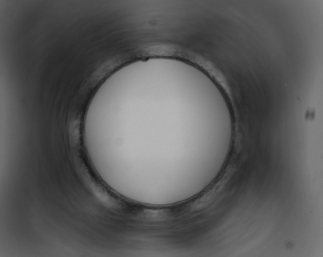 X0000100750057200807171421