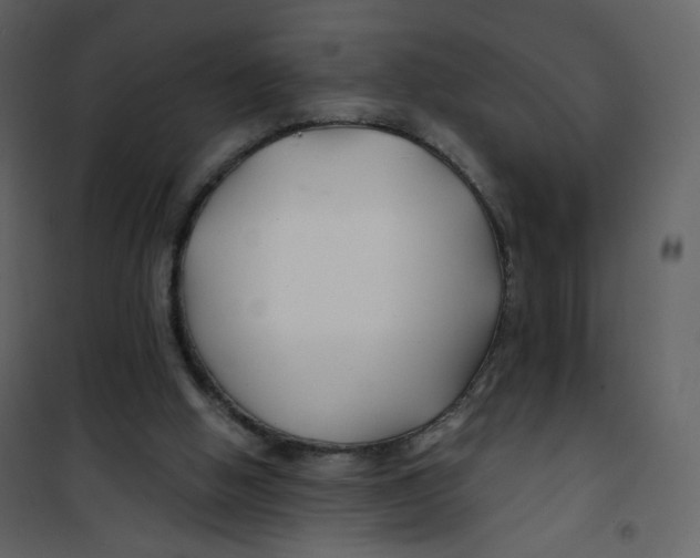 X0000100750058200807171421