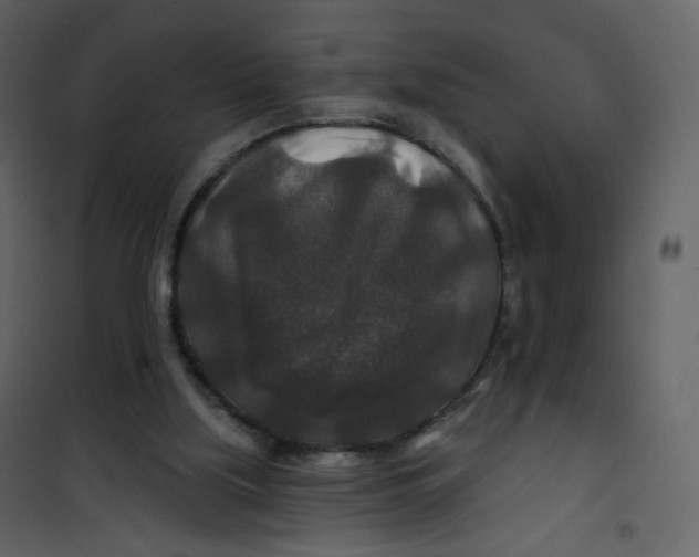 X0000100750059200807171421