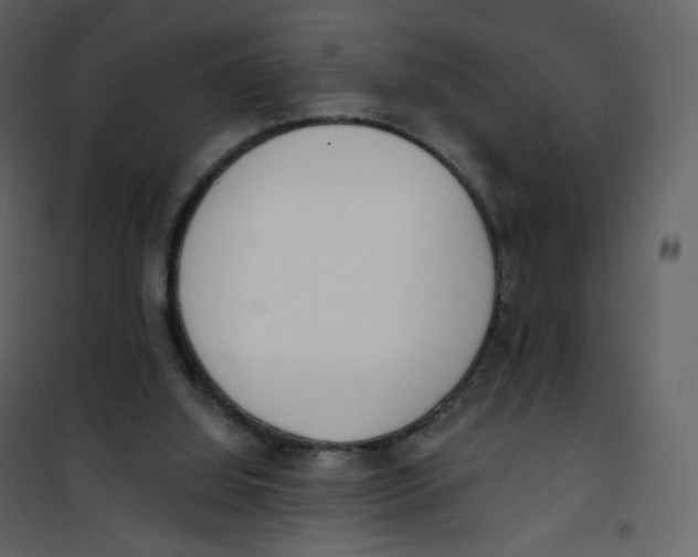 X0000100750060200807171421