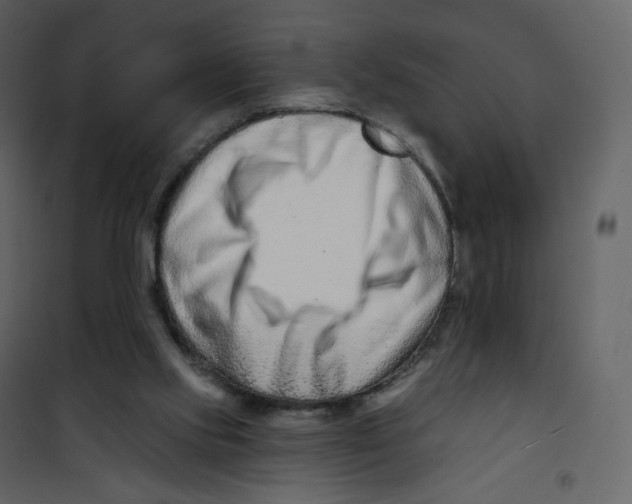 X0000100750061200807171421