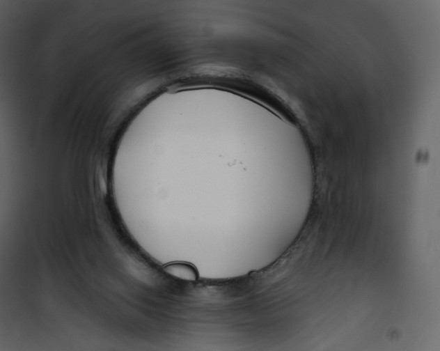 X0000100750062200807171422