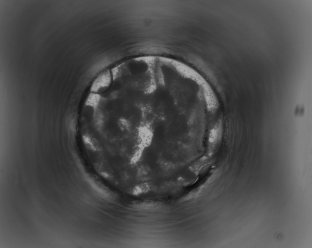 X0000100750063200807171422