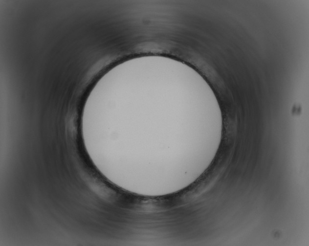 X0000100750064200807171422
