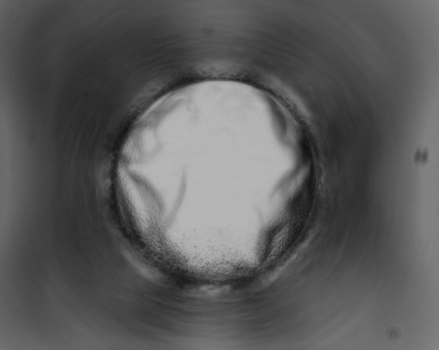 X0000100750065200807171422