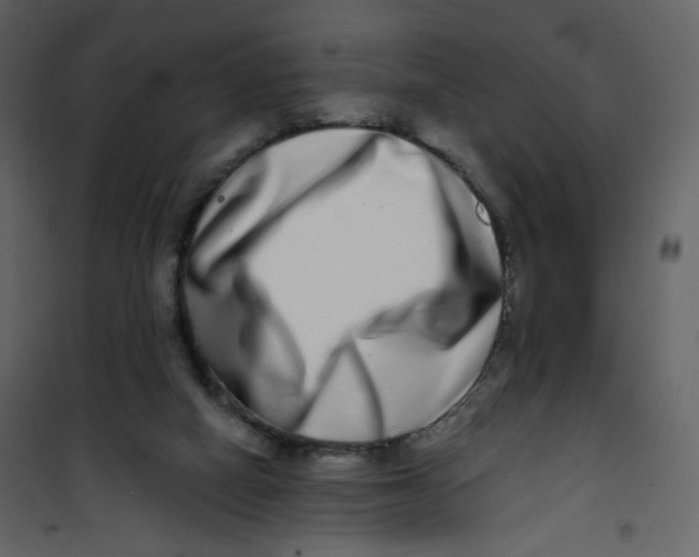 X0000100750066200807171422