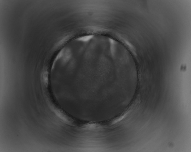 X0000100750067200807171422