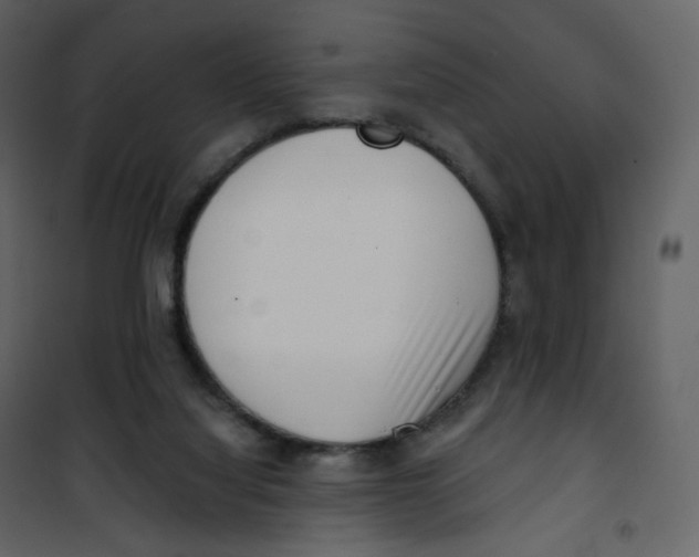 X0000100750068200807171422