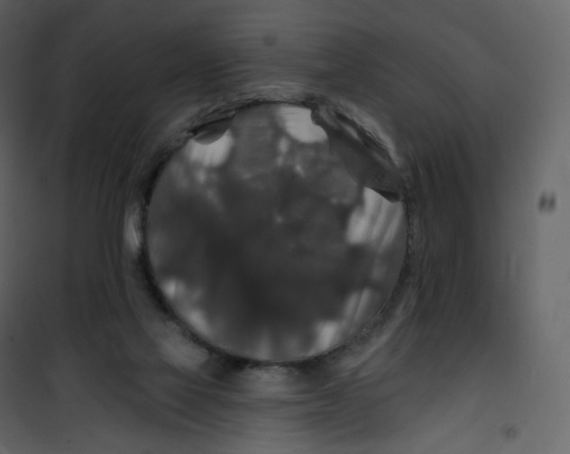 X0000100750069200807171422