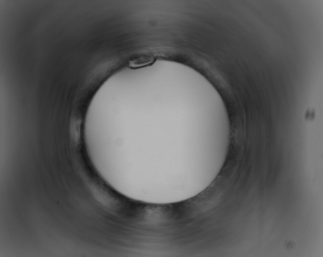 X0000100750070200807171422