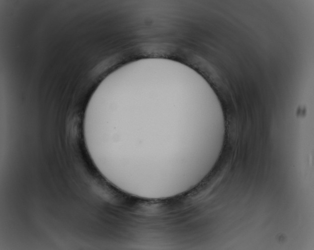 X0000100750071200807171422