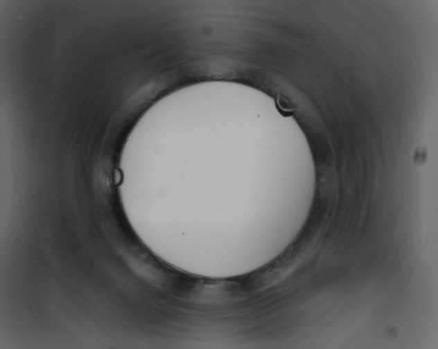 X0000100750072200807171422