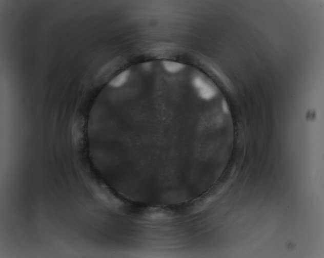 X0000100750073200807171422