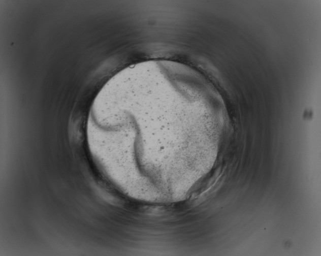 X0000100750074200807171422