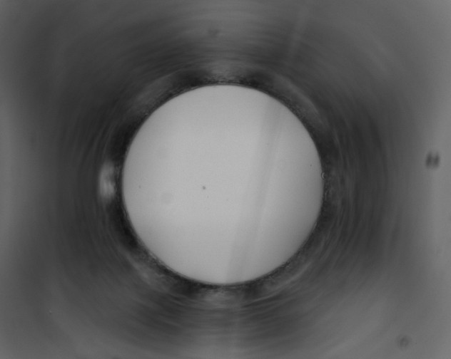 X0000100750075200807171422