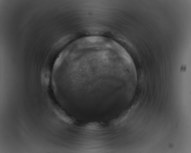 X0000100750076200807171422