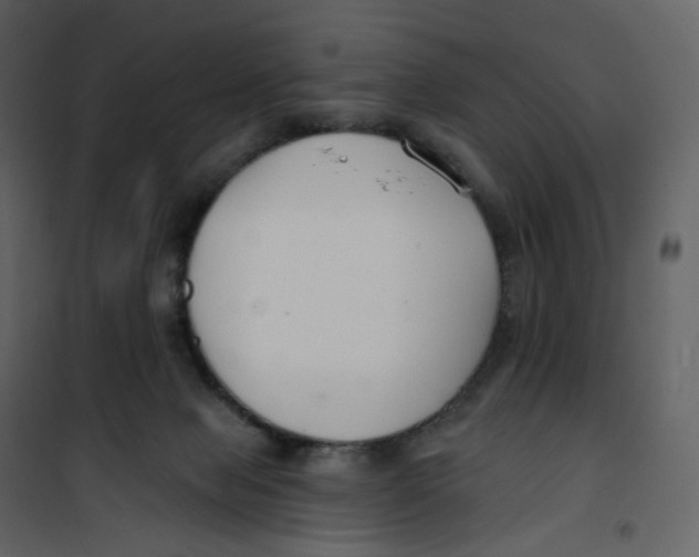 X0000100750077200807171422