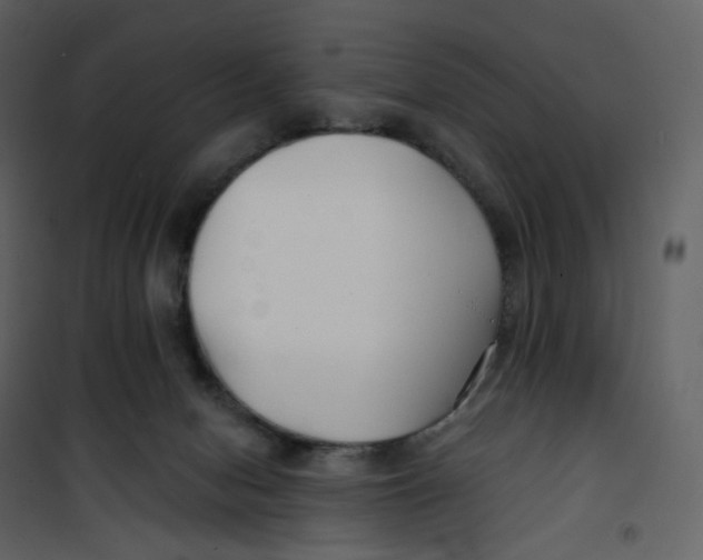 X0000100750078200807171422