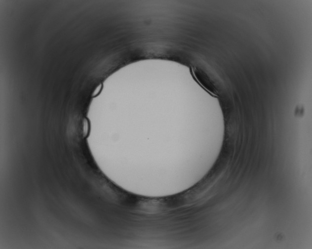 X0000100750079200807171422