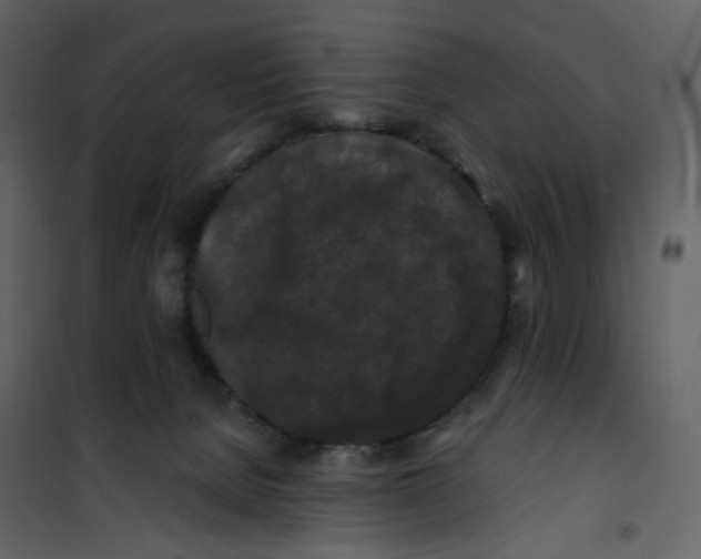 X0000100750080200807171422