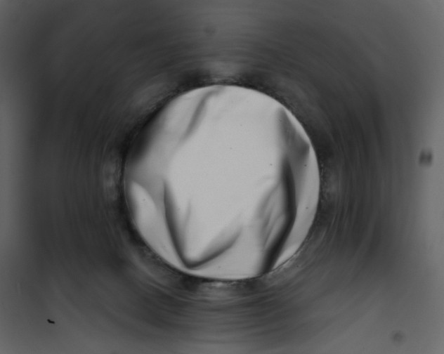 X0000100750082200807171422