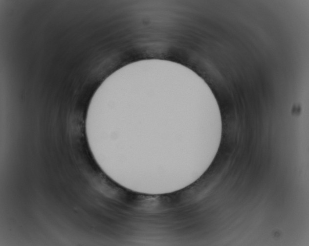 X0000100750083200807171422