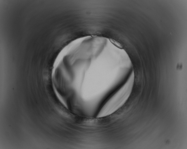 X0000100750084200807171422