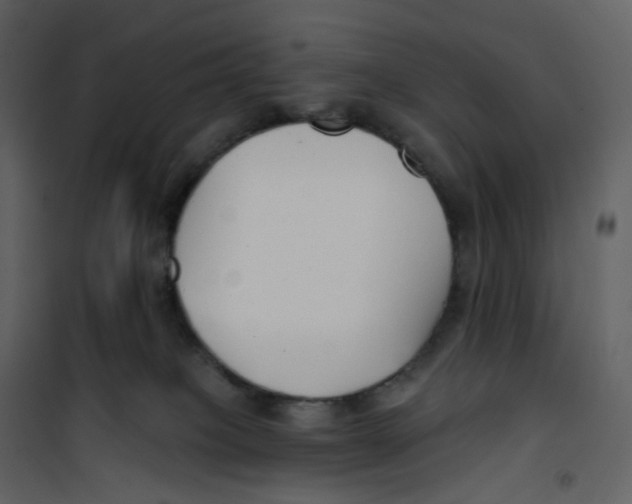 X0000100750085200807171422