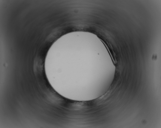 X0000100750086200807171422