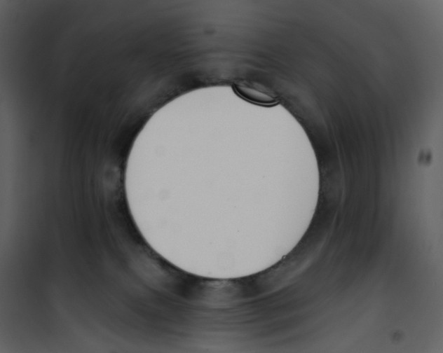 X0000100750087200807171422