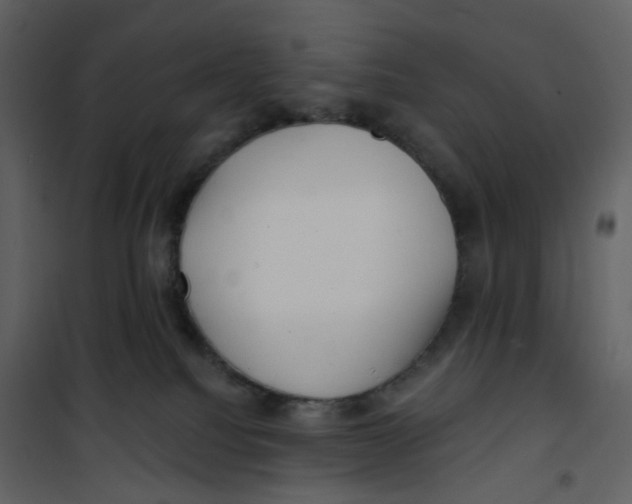 X0000100750088200807171422