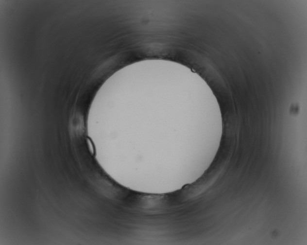 X0000100750089200807171422