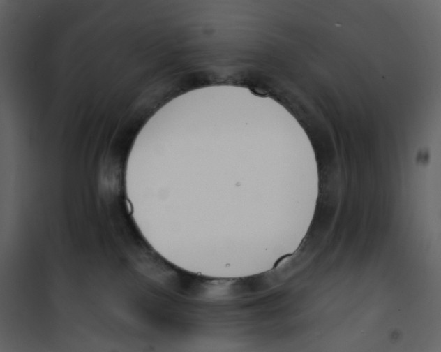 X0000100750090200807171422