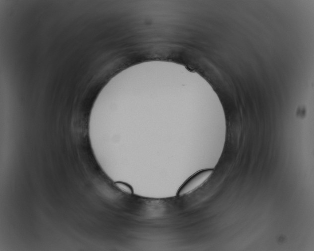 X0000100750091200807171422