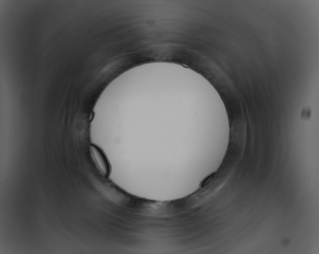 X0000100750092200807171422