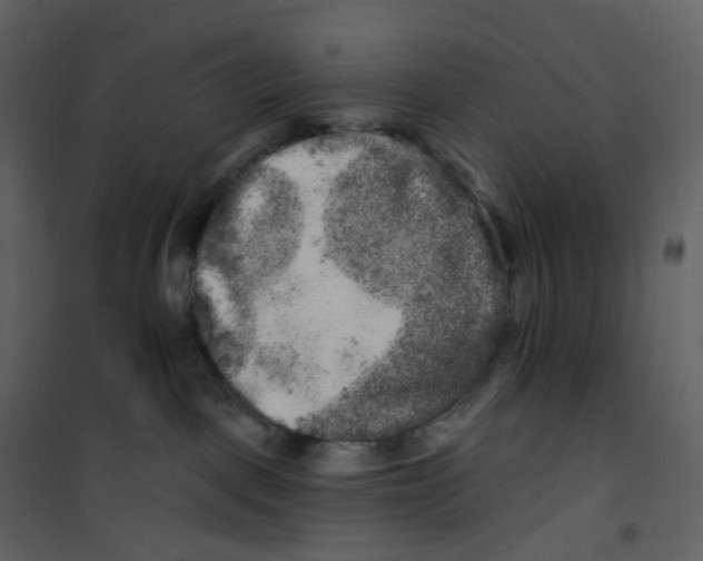 X0000100750093200807171422