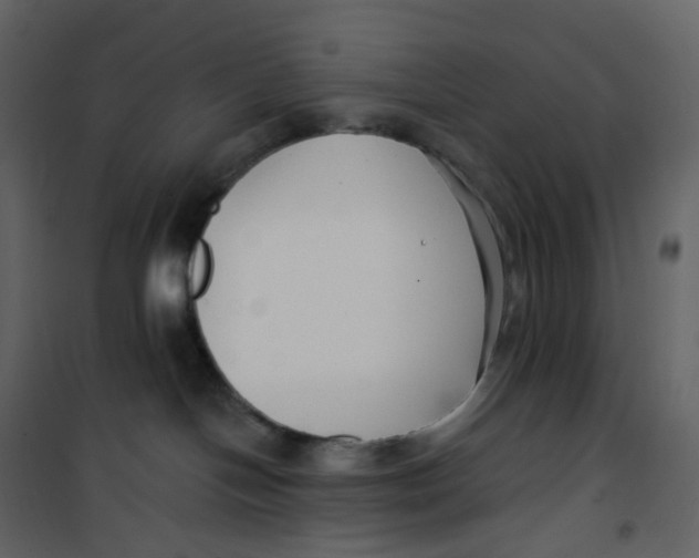 X0000100750094200807171422