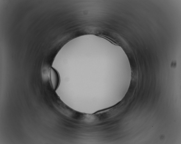 X0000100750095200807171422